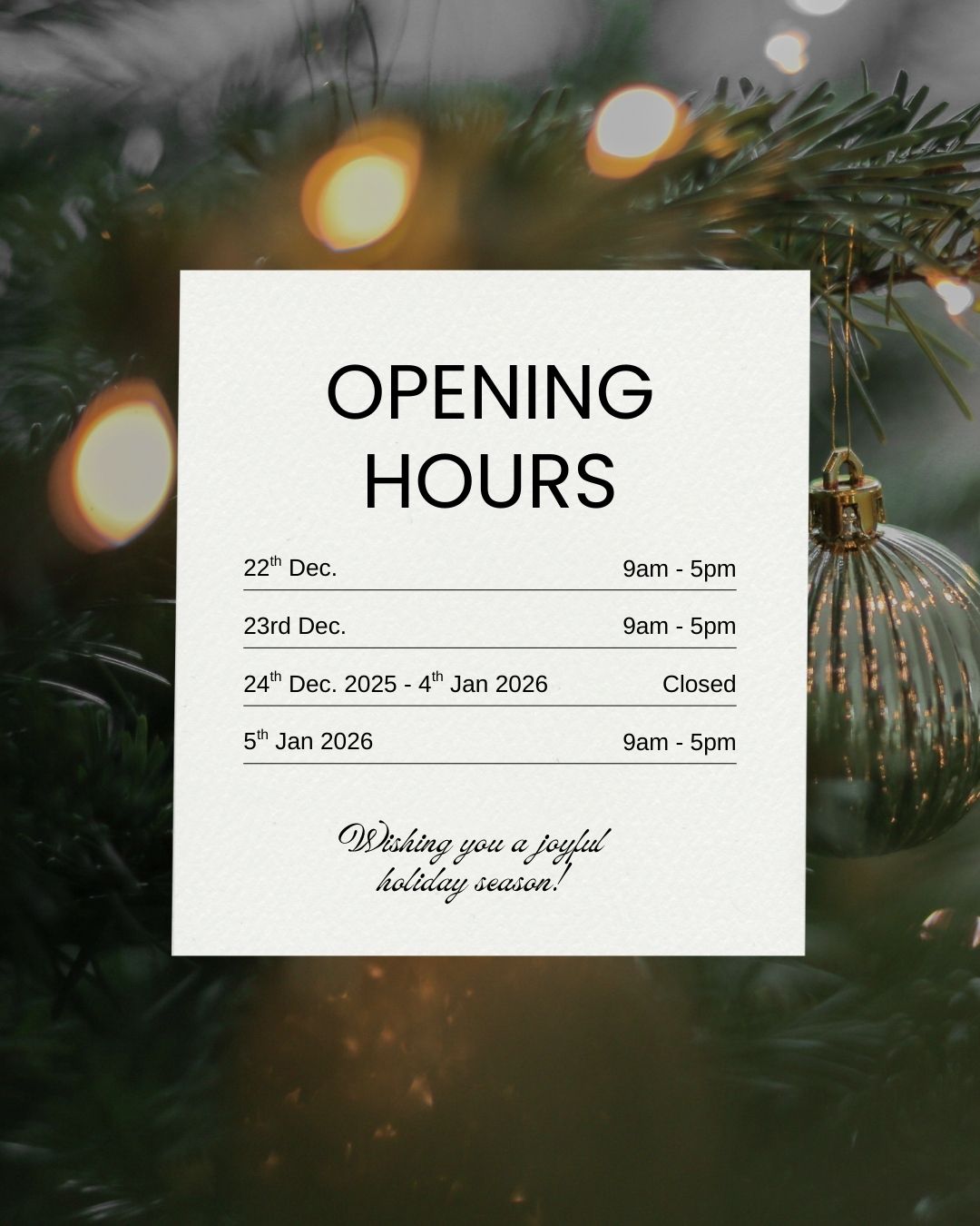 Ventmann-UK-Christmas-2025-new-11