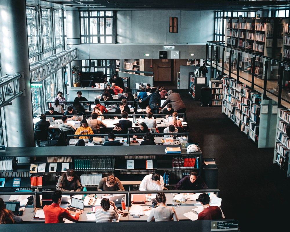 Ventmann UK Low-Noise Performance for Focus and Clarity